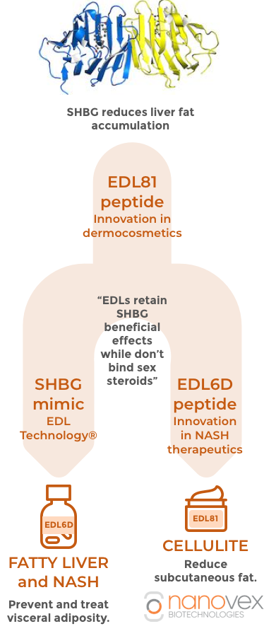 SHBG-mimic: EDL Technology® EDL3D peptide: Innovation in dermocosmetics. EDL6D peptide: Innovation in NASH therapeutics